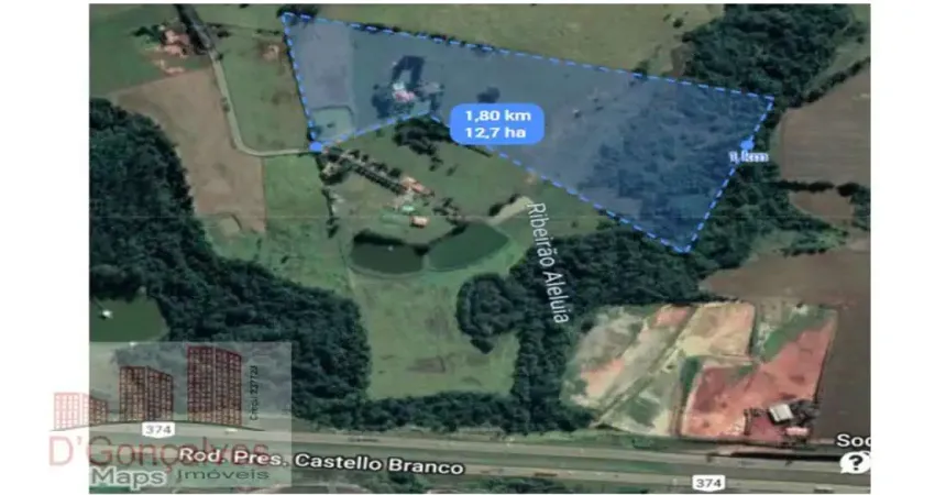 Chácara / sítio com 4 quartos à venda na Cesário Lange, Aleluia, Cesário Lange