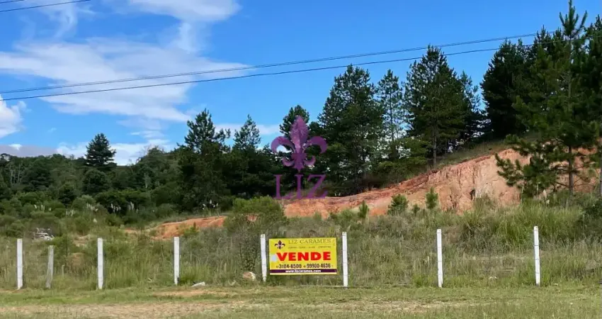 Terreno à venda na Rua Catarina knapik, Área Industrial, Quatro Barras