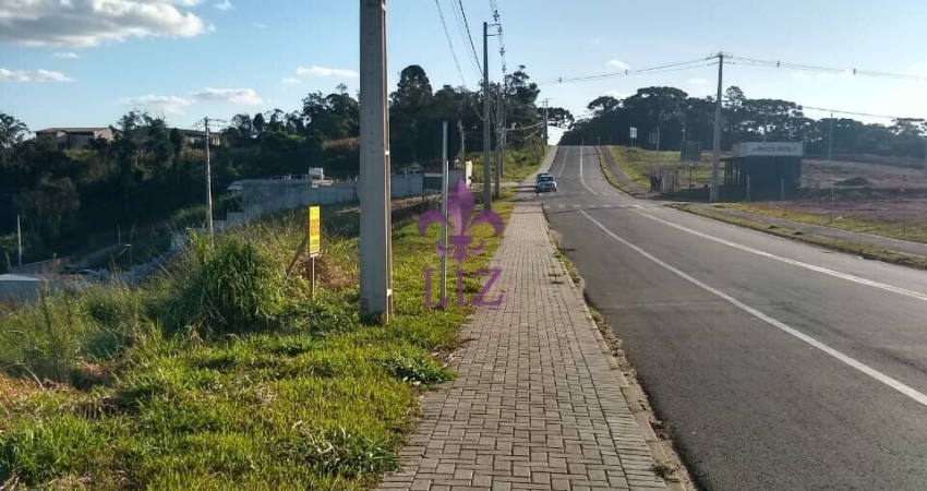 Terreno à venda na Rua Coronel Monteiro, João Paulo II, Campina Grande do Sul