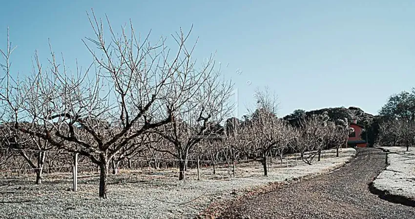 Terreno à venda no Mato Queimado, Gramado