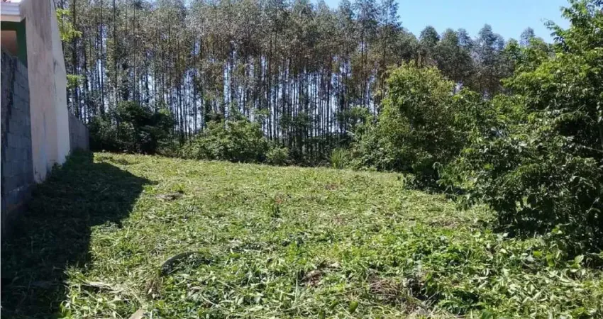 Terreno à venda na Rua Condpesca E Lazer Barra do Ivaí, Zona Rural, Quinta do Sol