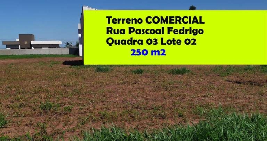 Terreno comercial à venda na Rua Paschoal Fredigo, Zona Rural, Iguaraçu