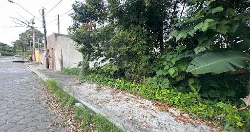 Terreno à venda, 300 m² por R$ 90.000,00 - Jardim Suarão - Interior - Itanhaém/SP