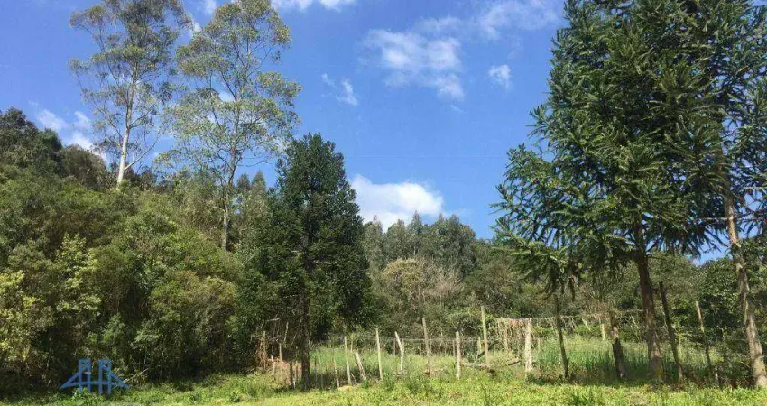Terreno à venda, 152000 m² por R$ 1.500.000,00 - Centro - Anitápolis/SC