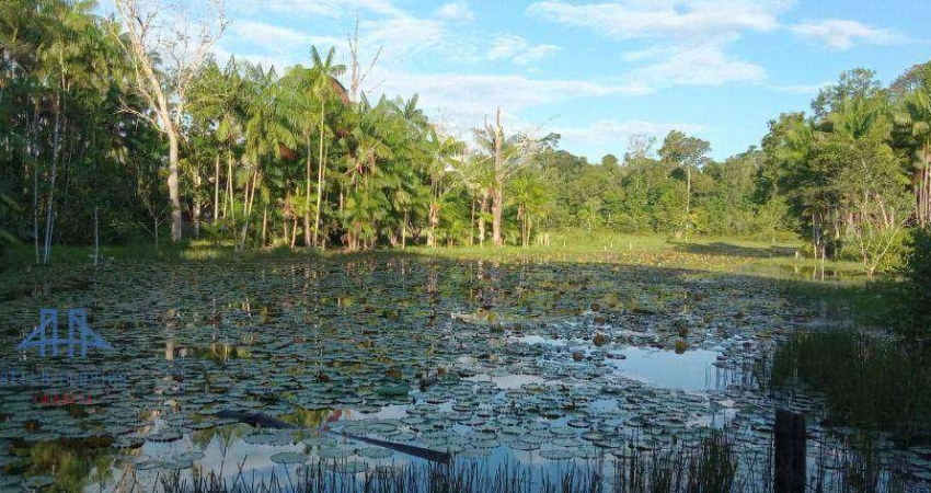 Fazenda à venda, 2190000 m² por R$ 4.000.000,00 - Alça Viaria - Acará/PA