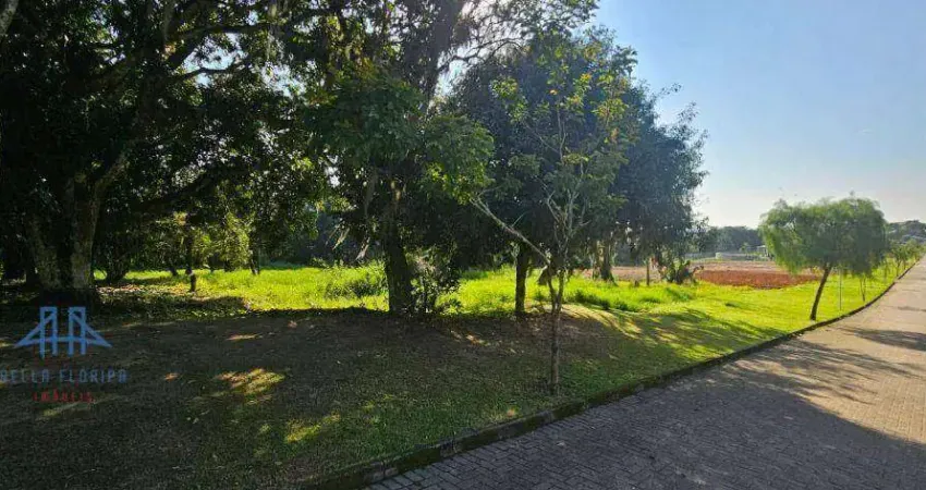 Terreno à venda, 3000 m² por r$ 1.400.000,00 - ratones - florianópolis/sc