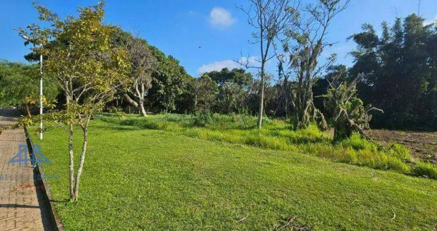 Terreno à venda, 3000 m² por r$ 1.400.000,00 - ratones - florianópolis/sc