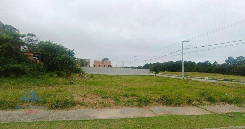 Terreno à venda, 493 m² por R$ 505.000,00 - São João do Rio Vermelho - Florianópolis/SC