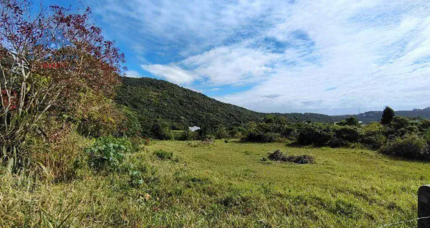 Terreno à venda, 26000 m² por r$ 4.580.000,00 - ingleses do rio vermelho - florianópolis/sc