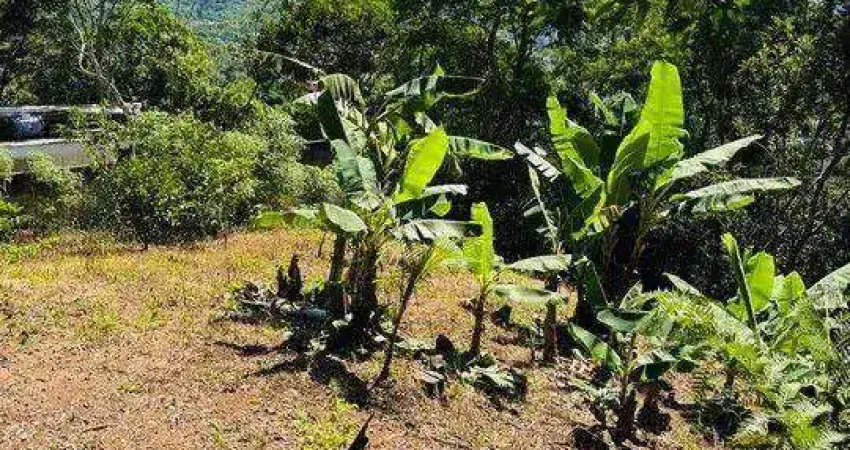 Terreno à venda, 525 m² por R$ 430.000,00 - Córrego Grande - Florianópolis/SC