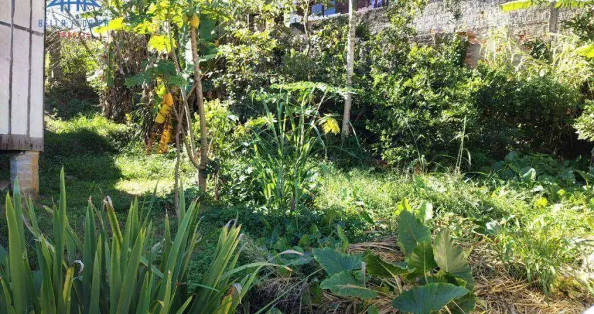 Terreno à venda, 600 m² por r$ 960.000,00 - córrego grande - florianópolis/sc