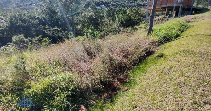 Terreno à venda, 638 m² por R$ 1.204.000,00 - Itacorubi - Florianópolis/SC