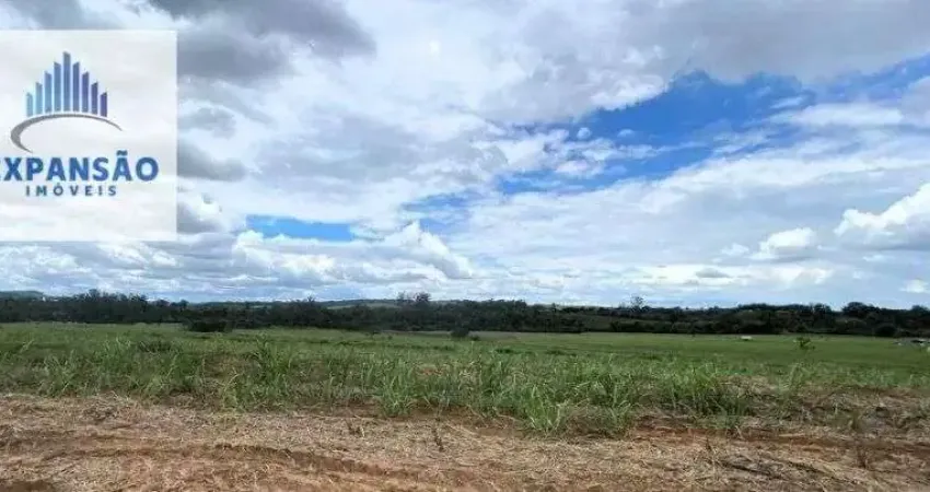 Chácara / sítio à venda no Centro, Elias Fausto