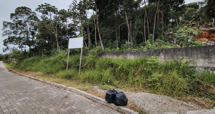 Terreno à venda na Rodovia Rafael da Rocha Pires, Sambaqui, Florianópolis