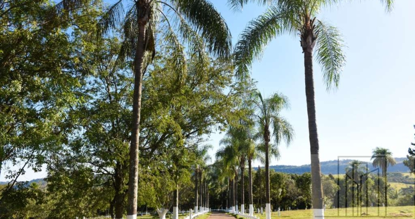 Sitio  fantástico na cidade de Cassia dos Coqueiros-SP