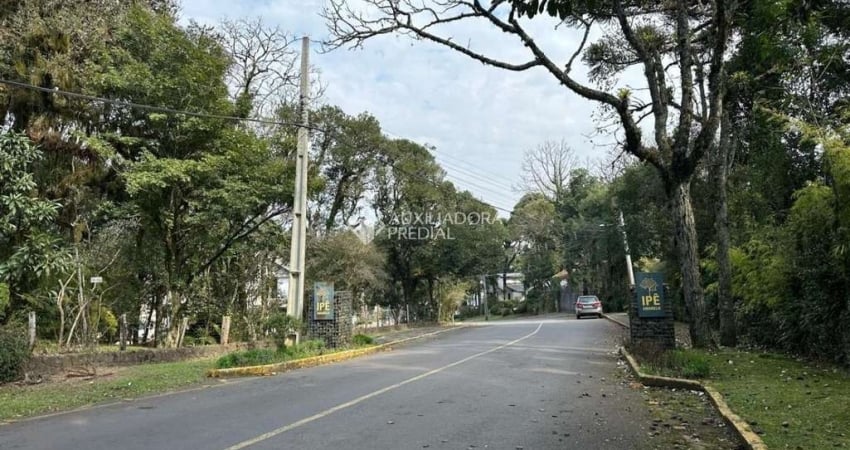 Terreno à venda na Rua Do Louro, 10, Ipê Amarelo, Gramado