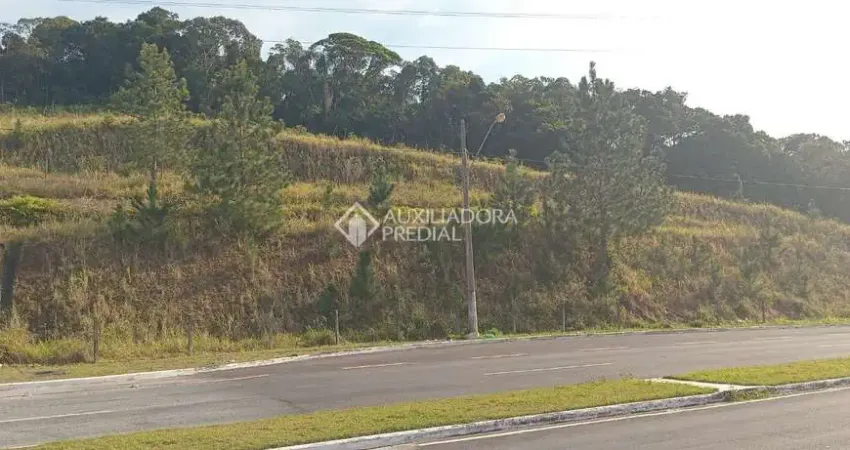 Terreno comercial à venda na Avenida Celso Joaquim da Silva, 04, Sertão do Maruim, São José
