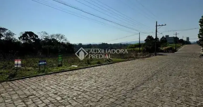 Terreno à venda na dos Louros, 800, Montanha, Lajeado