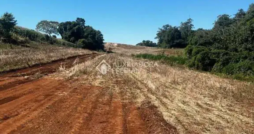 Terreno comercial à venda na Rua Arnoldo Alfredo Scherer, 61, Conventos, Lajeado
