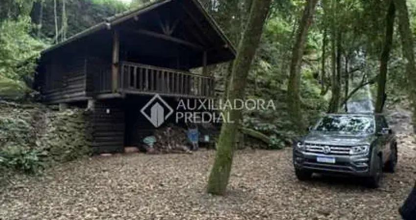 Fazenda à venda na Palmas, s/n, 132, Linha Palmas (Distrito), Arroio do Meio