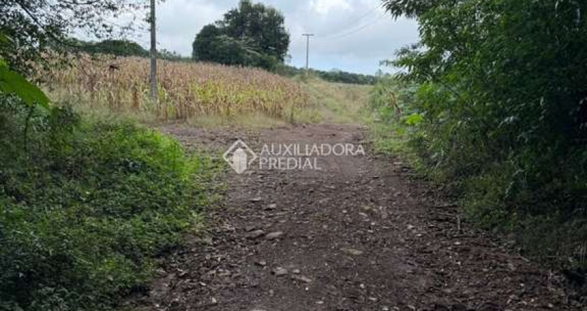 Terreno comercial à venda na Edmundo Ruhrwiem, 88, Centro, Teutônia