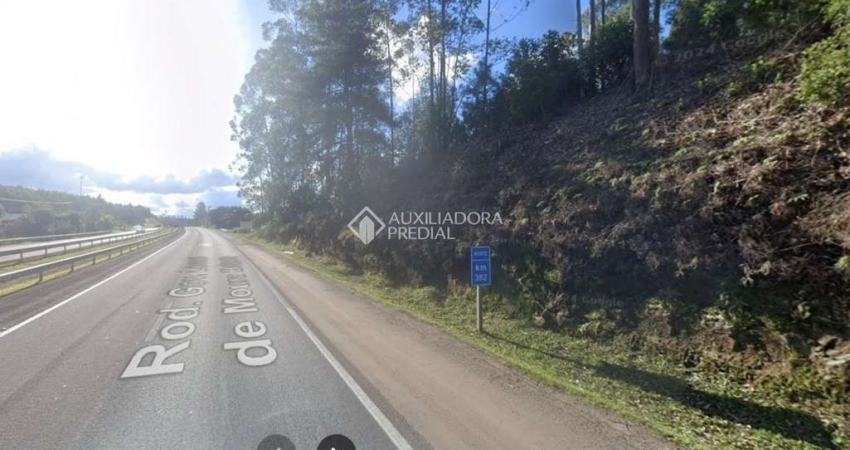 Terreno comercial à venda na RST-287, 572 Quilômetro 29, 564, Centro, Tabaí