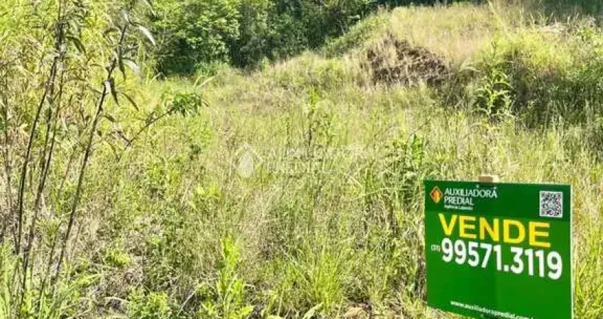 Terreno à venda na Vinte e Oito de Maio, 714, 09643, Centro, Santa Clara do Sul