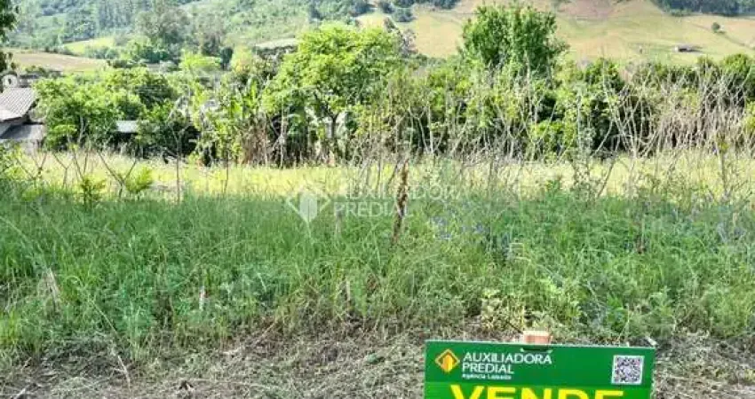 Terreno à venda na Vinte e Oito de Maio, 714, 67856, Centro, Santa Clara do Sul