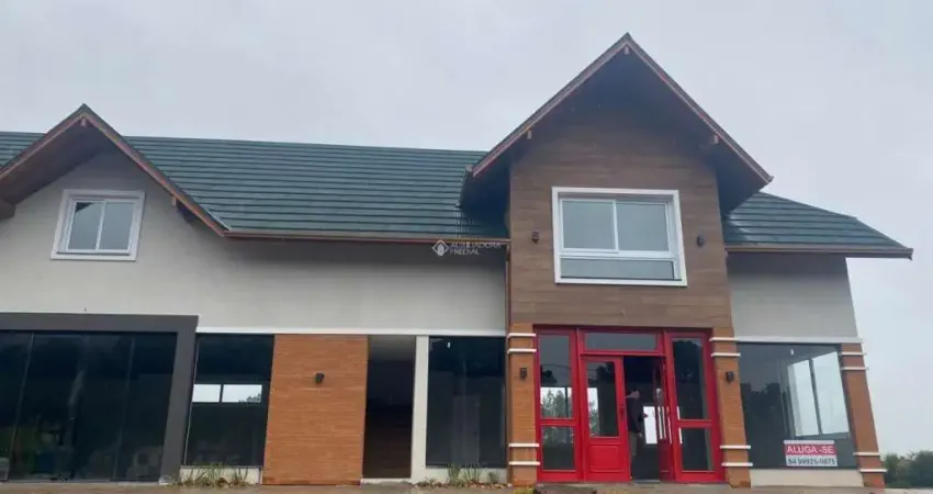 Sala comercial para alugar na RS 235, KM 19, 19, Linha Araripe, Nova Petrópolis