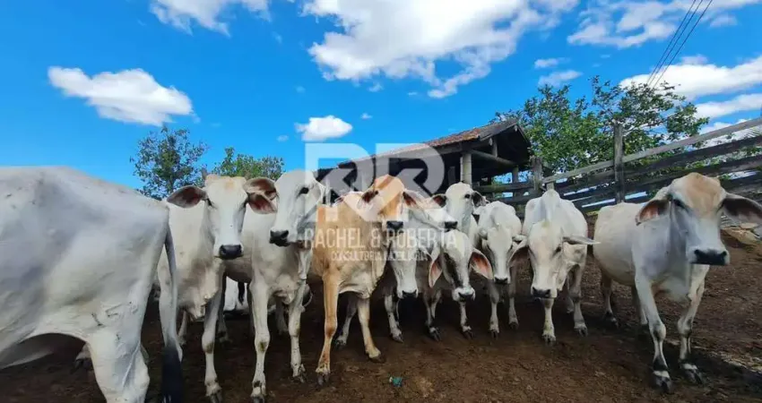 Chácara / sítio à venda no Centro, Araruama