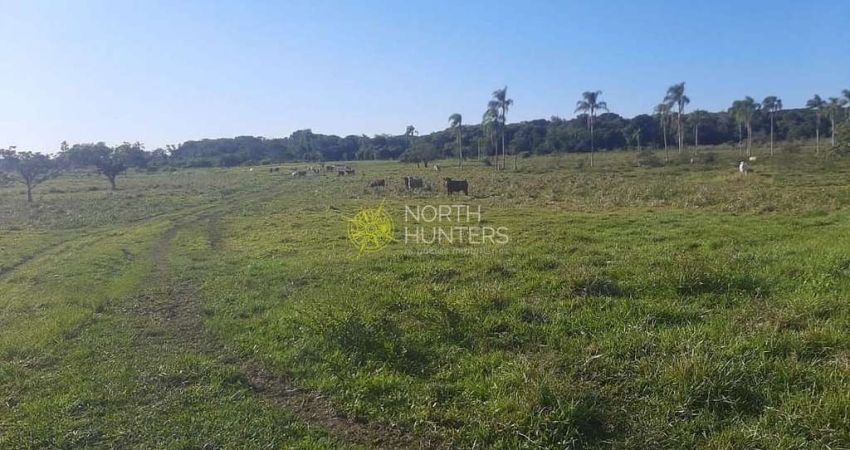 Terreno à venda, 132011 m² por R$ 85.000.000 - Barra do Itapocú - Araquari/SC