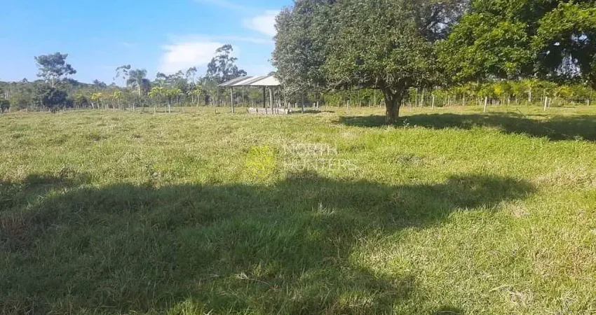 Terreno à venda, 132011mil m² por r$ 85.000.000 - barra do itapocú - araquari/sc