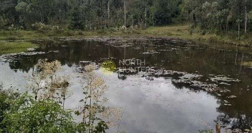 Chácara com 3 dormitórios à venda, 57.429 mil m²  - Centro - Campo Alegre/SC