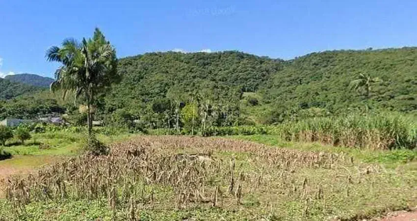 Chácara com 1 dormitório à venda, 30000 m² por R$ 650.000,00 - Itoupava Açu - Schroeder/SC
