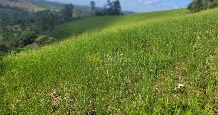 Chácara com 10 dormitórios à venda -  Centro - São João do Itaperiú/SC