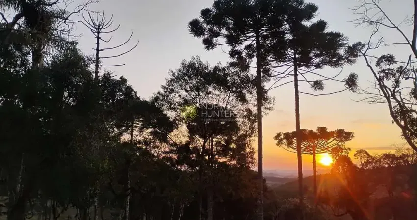 Chácara com 2 dormitórios à venda, 24200 m² por R$ 575.000,00 - Zona Rural - Campo Alegre/SC