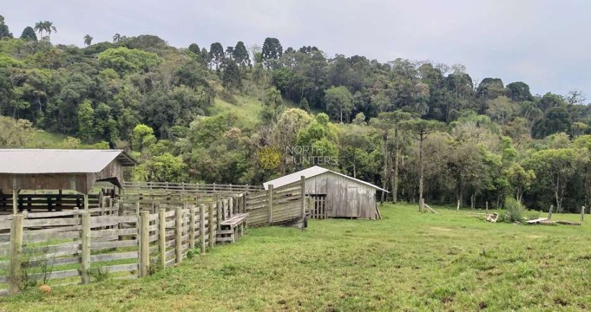 Fazenda à venda, 24.840.000 mil m² - Zona Rural - Campo Alegre/SC