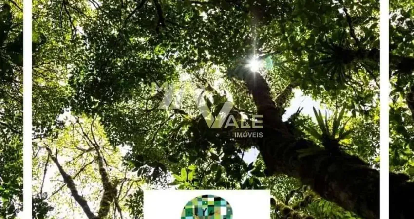 Terreno à venda, 200 m² por R$ 220.000,00 - Jardim Jacinto - Jacareí/SP