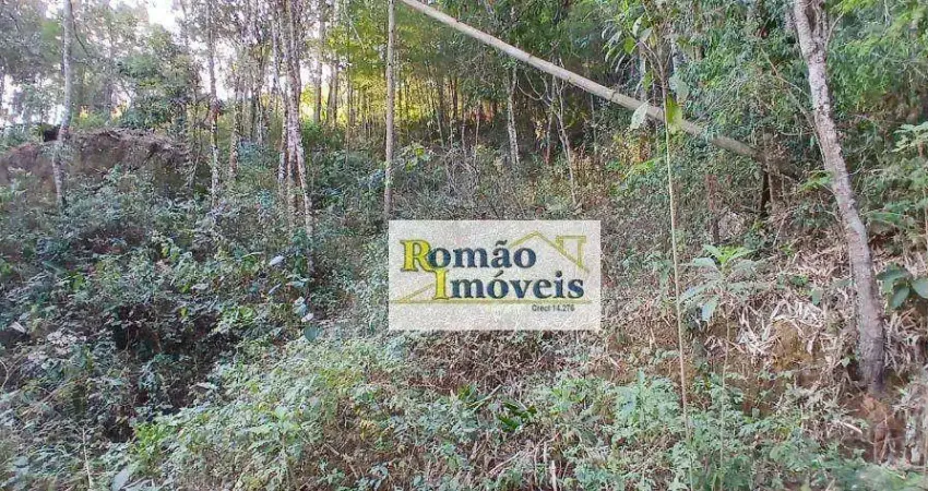 Terreno à venda, 2400 m² por R$ 80.000,00 - Mato Dentro - Mairiporã/SP