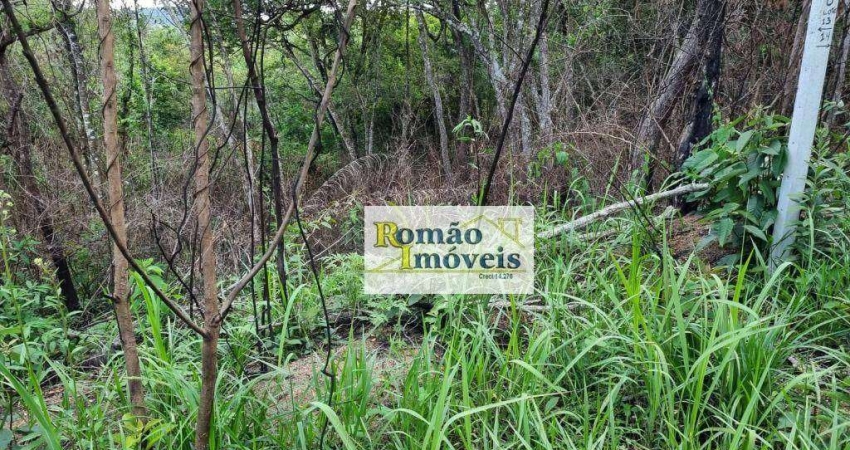 Terreno à venda, 1240 m² por R$ 135.000 - Paineiras de Mairiporã - Mairiporã/SP