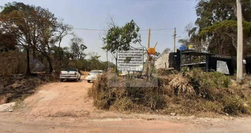 Terreno plano, com excelente topografia e medindo 1.162 m² (13 m x 88 m), localizado a apenas 500 metros do asfalto, em uma área tranquila e de fácil