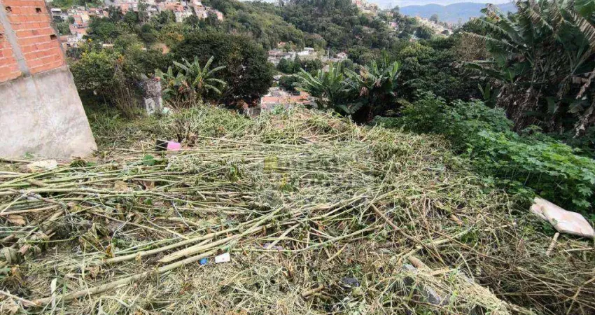 Terreno à venda, 300 m² por r$ 80.000,00 - jardim capoavinha - mairiporã/sp
