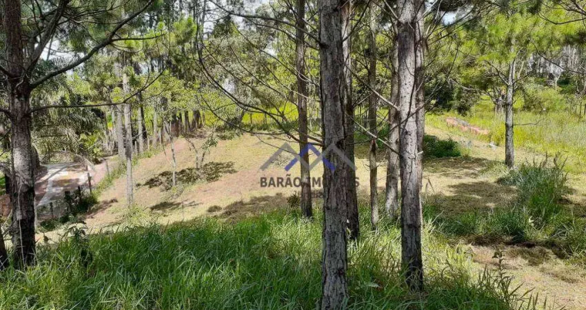 Terreno à venda, 3200 m² por R$ 660.000,00 - Parque Espelho  D Água - Jundiaí/SP