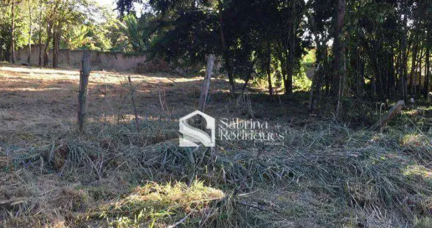 Terreno à venda, 5000 m² por R$ 1.100.000 - Recanto dos Pássaros - Indaiatuba/SP