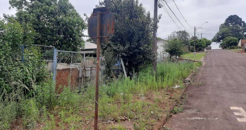 TERRENO REGIAO SUL
