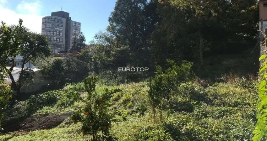 Amplo terreno situado no Borgo junto a rua São Paulo!