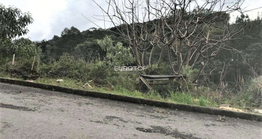 Terreno à venda na Rua Benigno Orlando Panno, Universitário, Bento Gonçalves