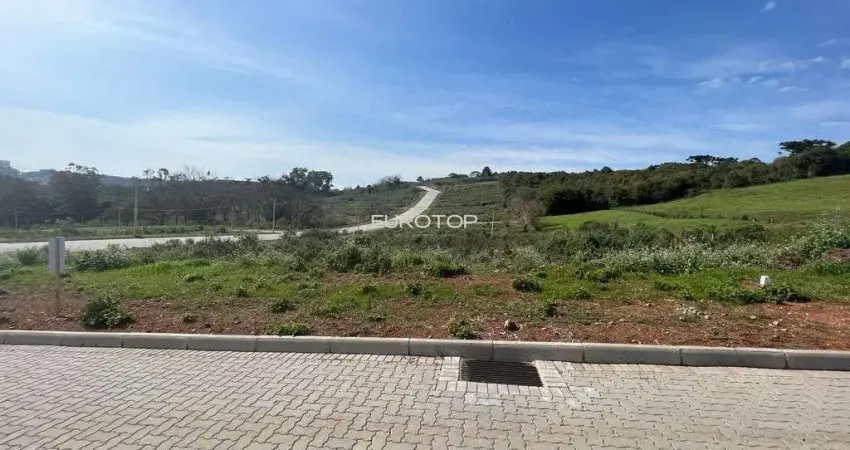 Terreno à venda na Rua Buarque De Macedo, 29, Garibaldina, Garibaldi