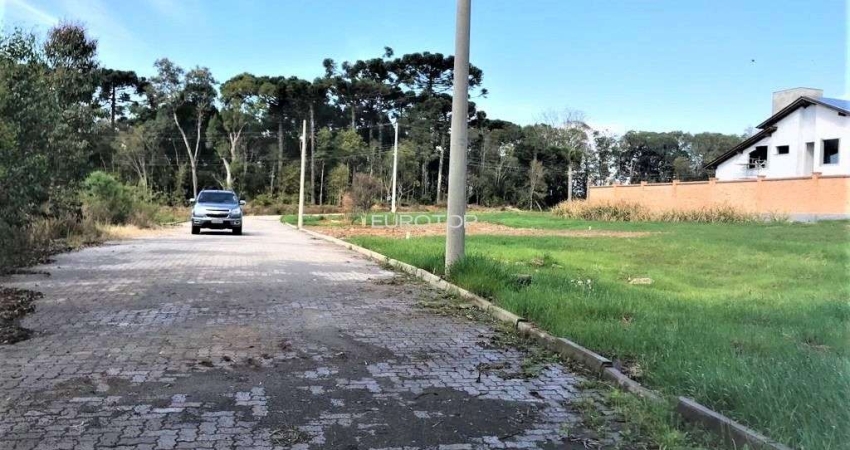 Terreno à venda na Rua Bruno Bottega, 10, Santo Antão, Bento Gonçalves