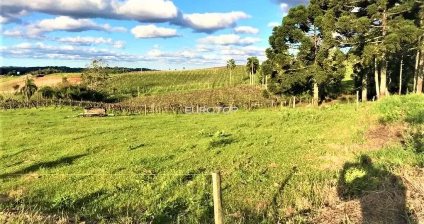 Terreno à venda na Rua José de Carli, 44, São Valentin, Bento Gonçalves
